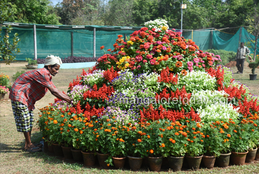 flower show 2